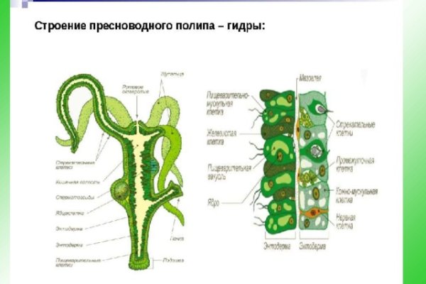 Ссылка на сайт кракен в тор