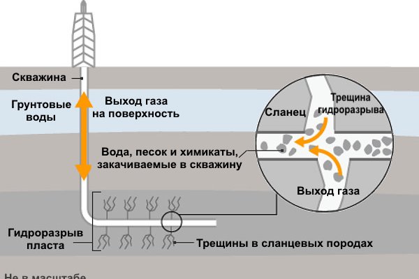 Кракен zerkalo pw