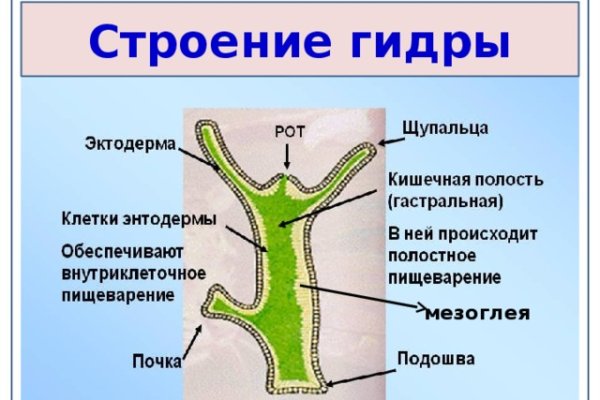 Кракен оф ссылка