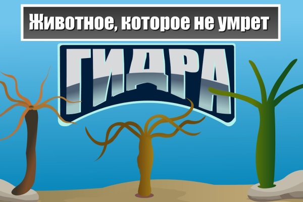 Кракен маркетплейс создатель